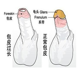 ѺҽԺ